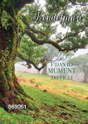 Picture of KONDOLJANZI FDAN IL-MUMENT DIFFICLI